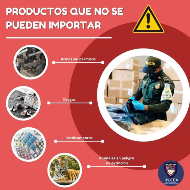 Guía completa para importar productos: ¡Empieza tu negocio hoy!